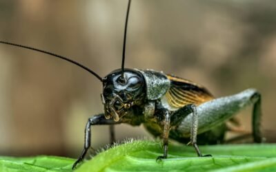 Why do your LinkedIn connections ghost you after you reach out?